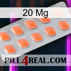 20 Mg 26